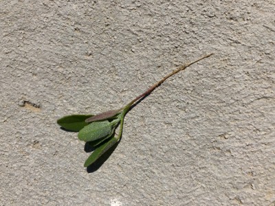 IMG_6839.JPG