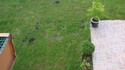 11 0oct 2015 terrasse.JPG