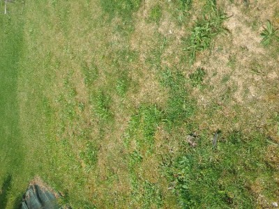 20180521_114143.jpg