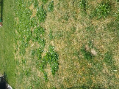 20180521_114128.jpg