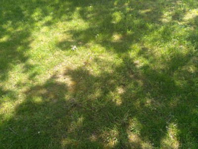 IMG_20180521_141233.jpg