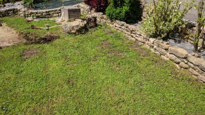 IMG_20180521_114618.jpg
