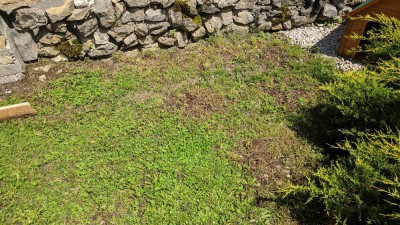IMG_20180521_114633.jpg