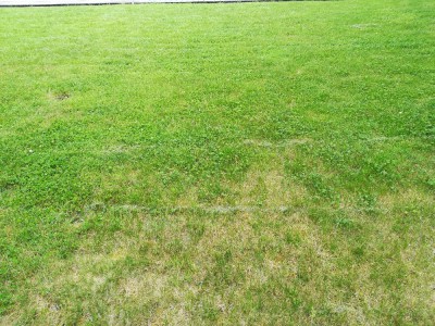 IMG_20180521_162845[1].jpg