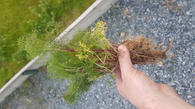 20180508_210117.jpg