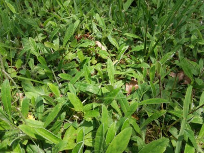 photo2.jpg