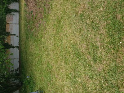 20180521_145801.jpg