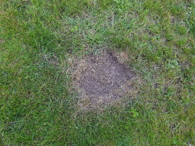 20180521_194833.jpg