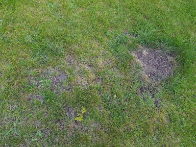20180521_194840.jpg