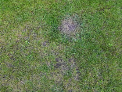 20180521_194849.jpg