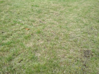 IMG_20180521_175111.jpg