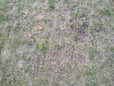 IMG_20180521_175120.jpg