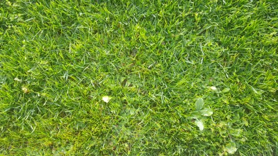 IMG-20151208-WA0004.jpg