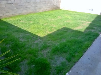 WP_20180523_09_30_53_Pro.jpg