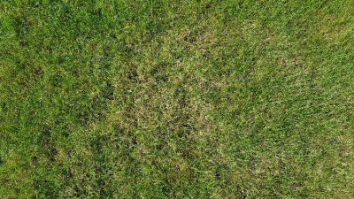 20180523_095929.jpg