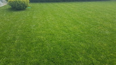 20180524_131549.jpg