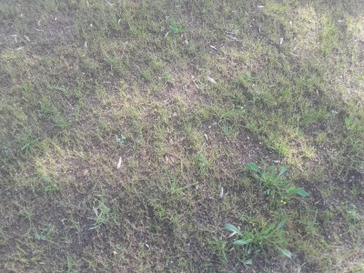 20180524_100711.jpg