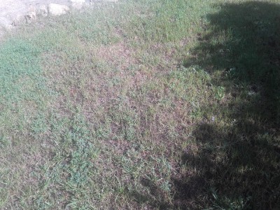 20180524_100944.jpg