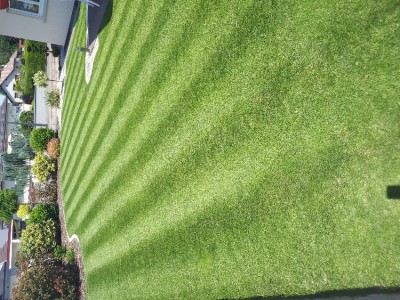 20180526_142421.jpg