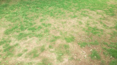 IMG_20180527_131513.jpg