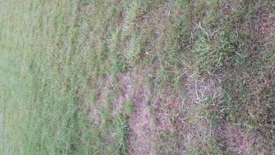 20180526_202847.jpg