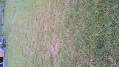 20180526_202854.jpg