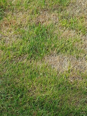 20180527_190414.jpg