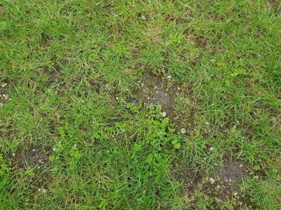 20180529_180646.jpg