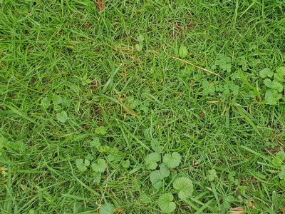 20180530_104713.jpg