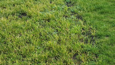 20160104_130538.jpg