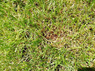 IMG_20180527_144044.jpg