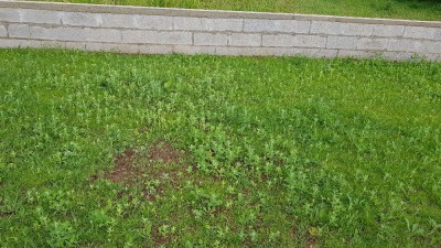 20180530_173039.jpg