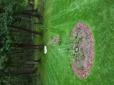 20180601_203107.jpg
