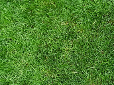 20180601_203125.jpg