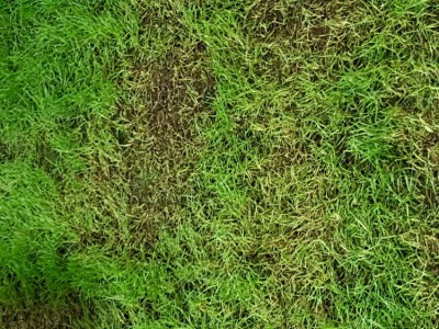 20180601_203155.jpg