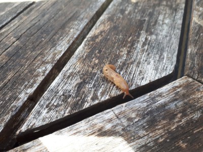 20180530_183800.jpg