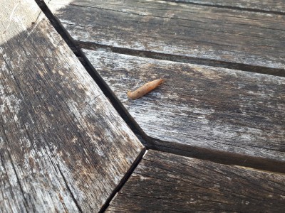 20180530_183816.jpg