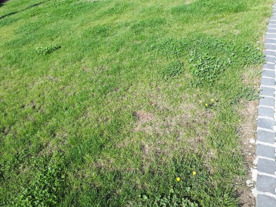 20180525_090352.jpg