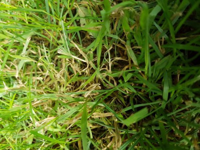 20180602_102329.jpg