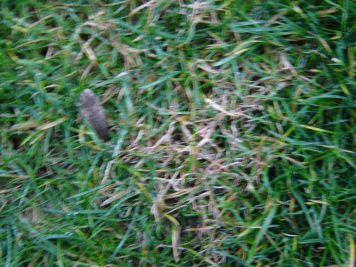 DSC00130.JPG