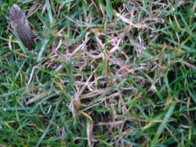 DSC00131.JPG