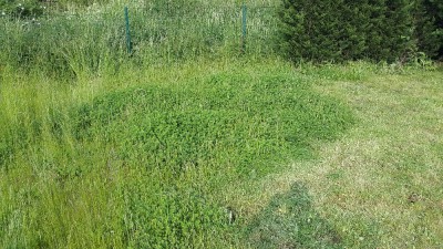 20180525_182032.jpg