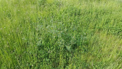 20180525_182038.jpg