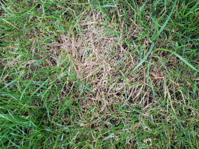 20180605_185855.jpg