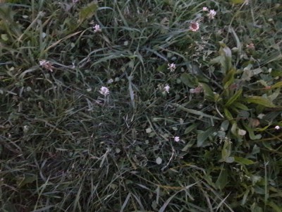20180605_215459.jpg