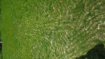 20180604_155816.jpg