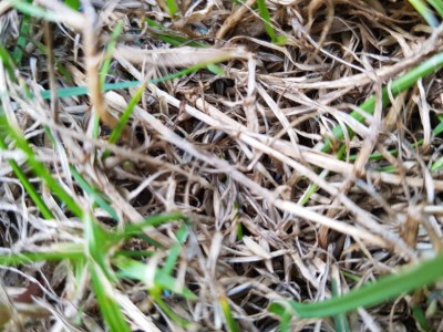 20180606_193125.jpg