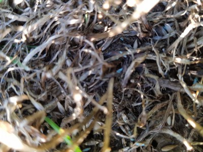 20180606_193105.jpg