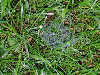 20180607_082009.jpg