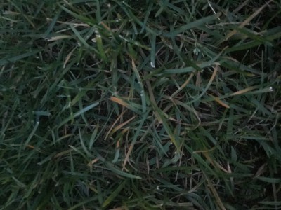 92C2CE73-88B0-4EF3-BDE3-4A9D6974941A.jpeg